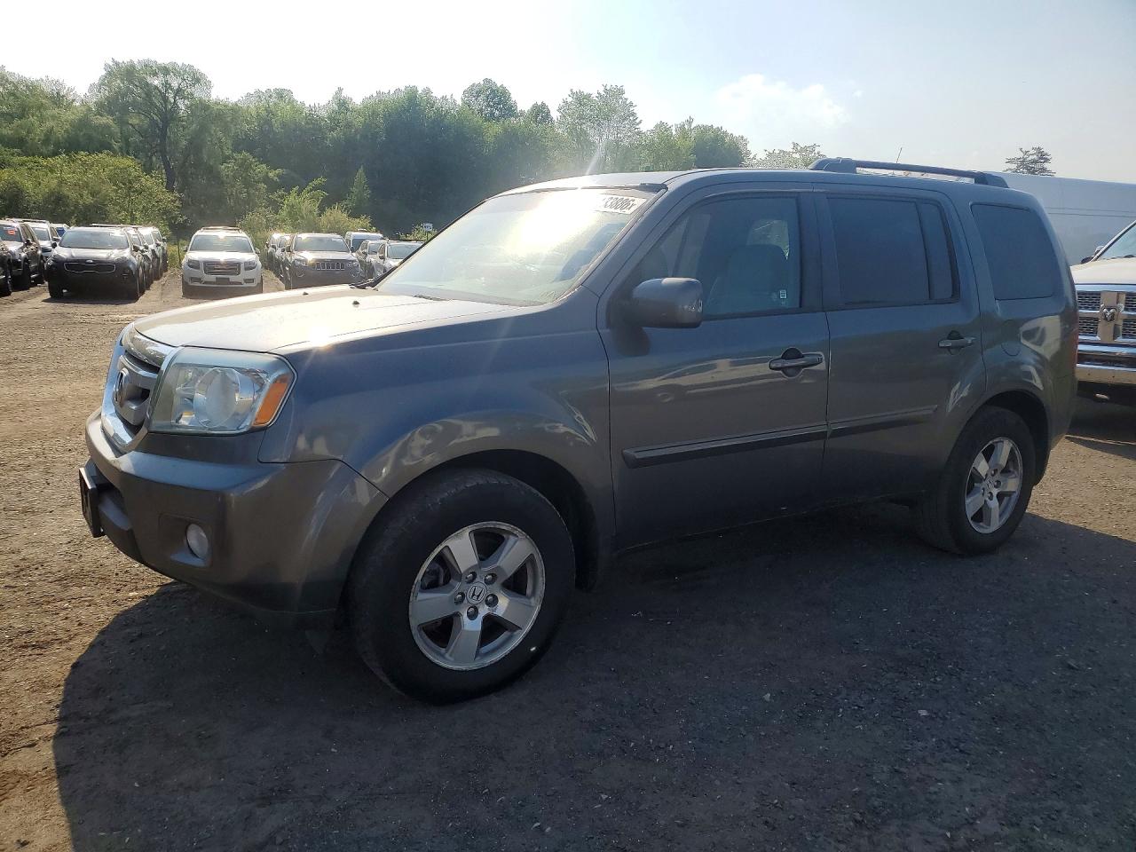 Salvage Honda Pilot Image