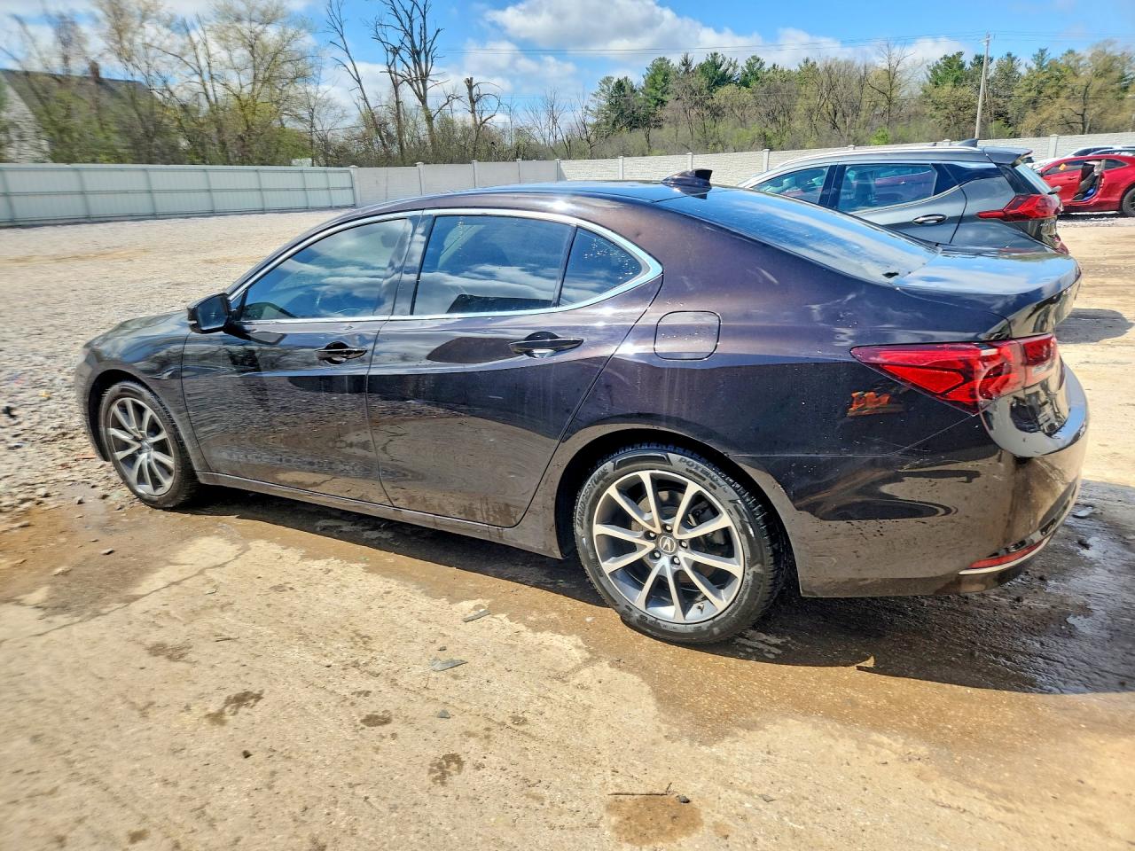 Acura TLX Tech