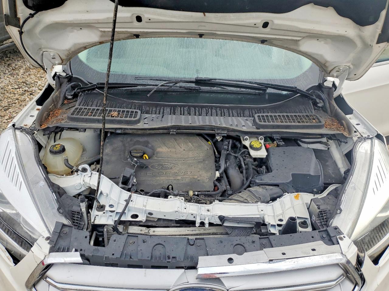 Ford Escape Se