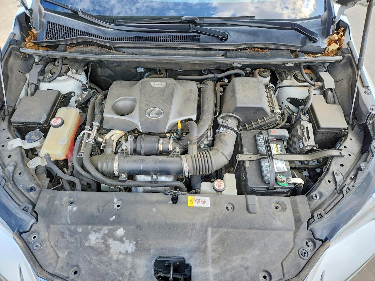 Lexus NX Base