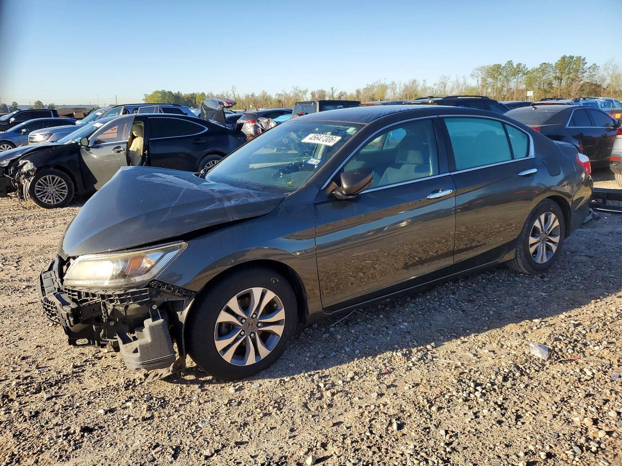 Salvage Honda Accord Image
