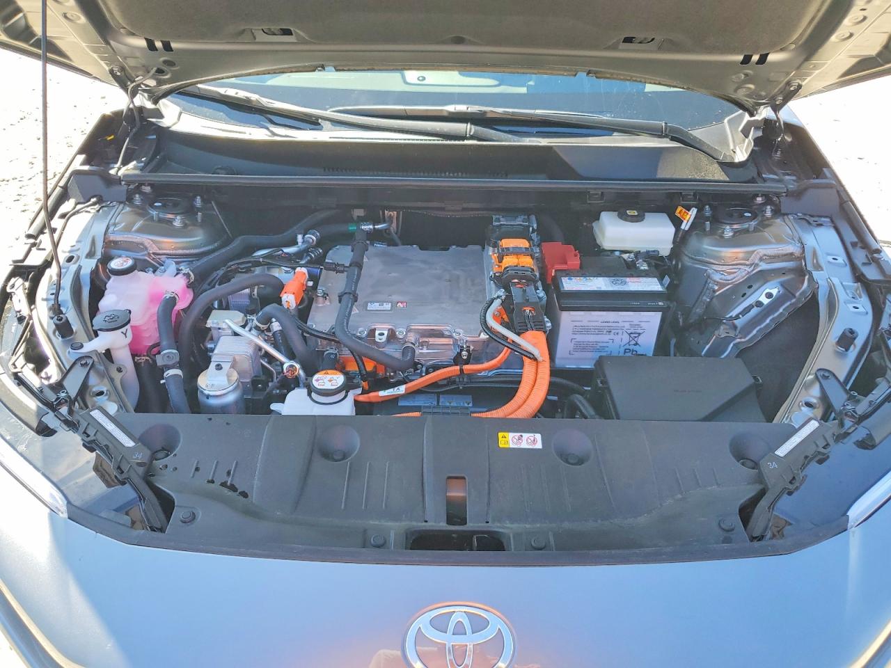 Toyota Bz Xle Plus