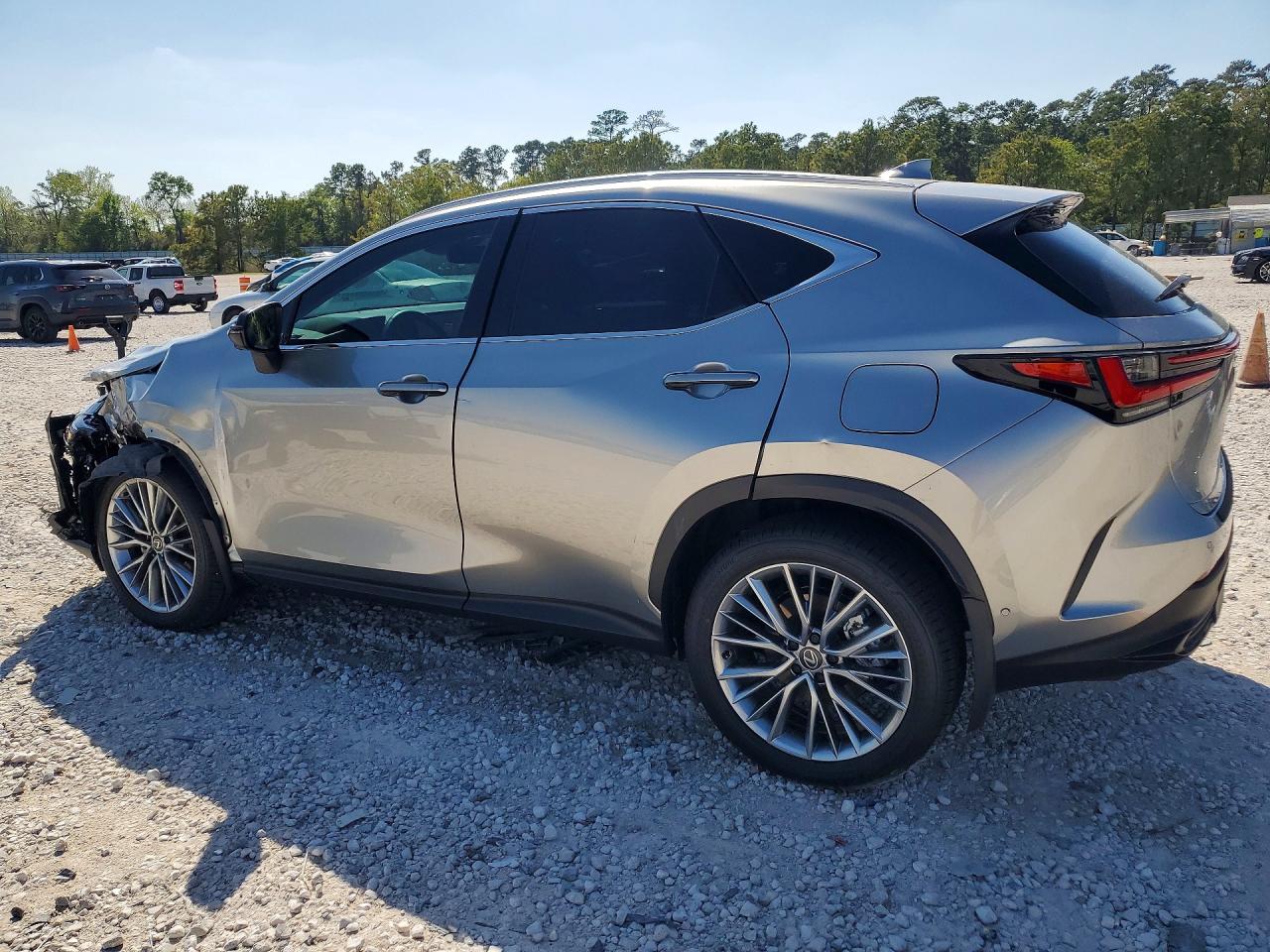 Lexus NX Luxury