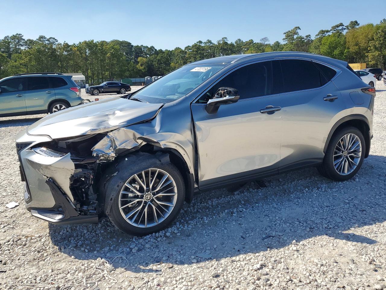 2026 Lexus NX