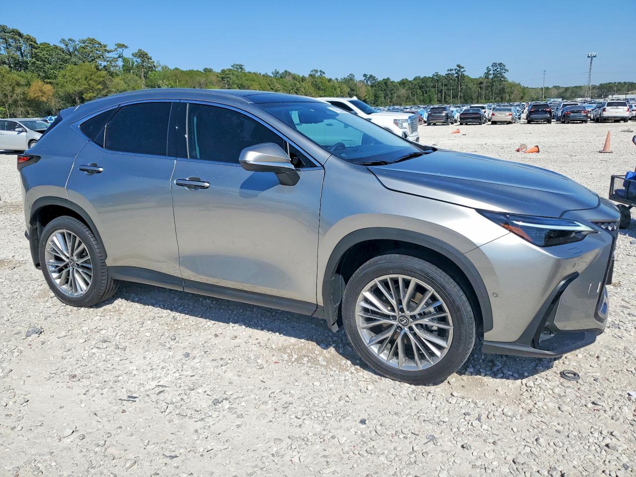 Lexus NX Luxury