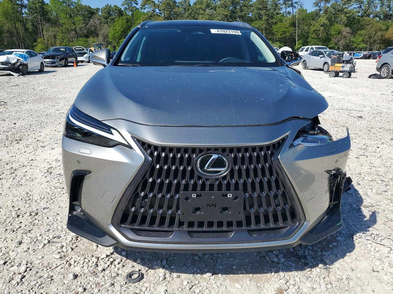 Lexus NX Luxury