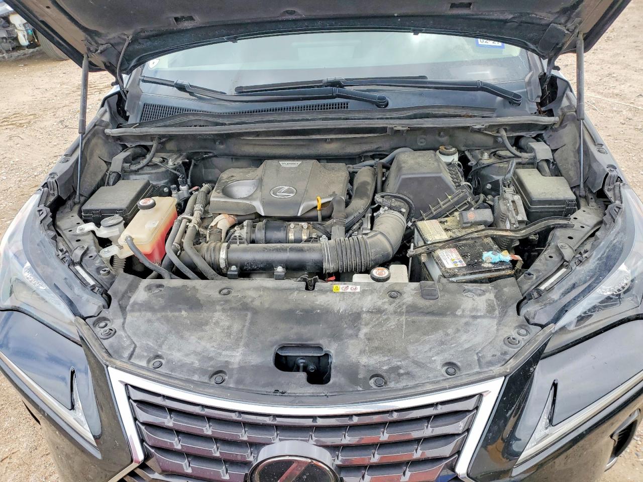Lexus NX Base