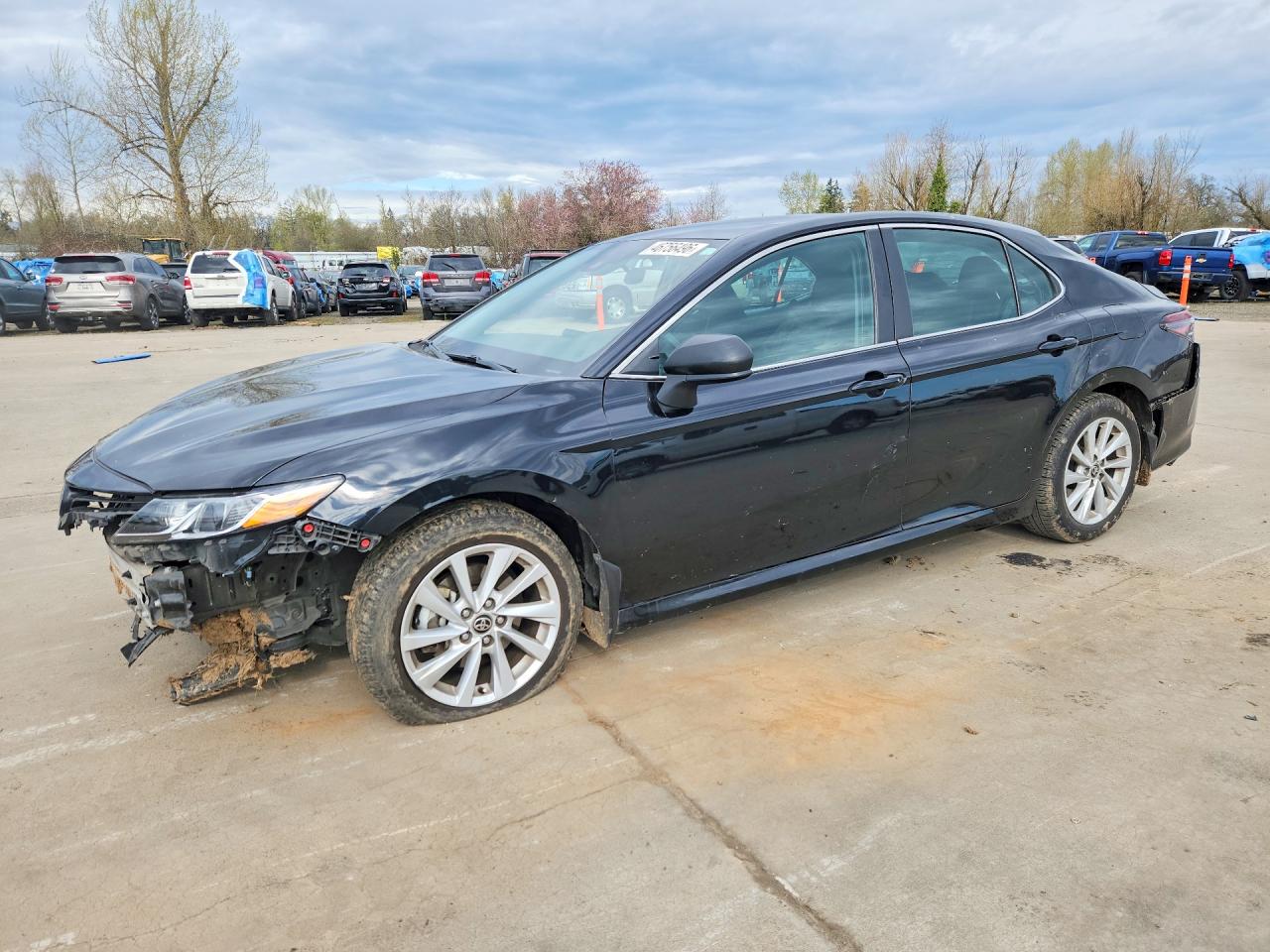 Salvage Toyota Camry Image