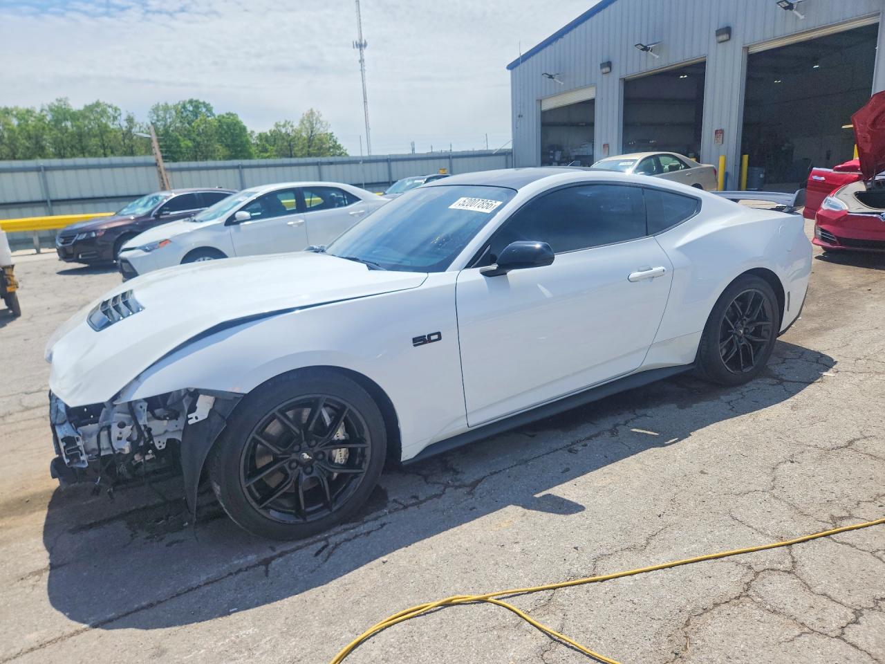 Salvage Ford Mustang Image
