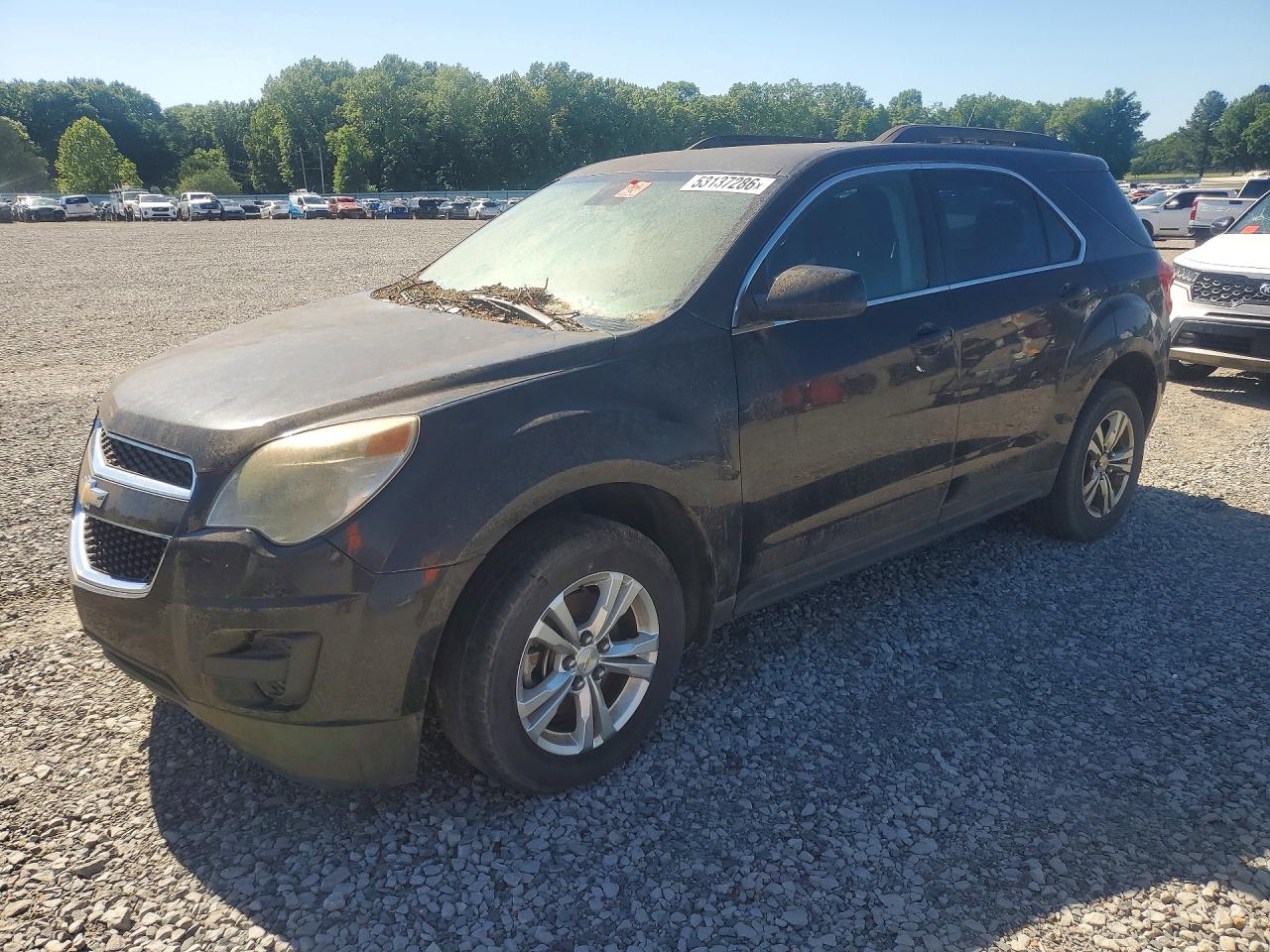 Salvage Chevrolet Equinox Image