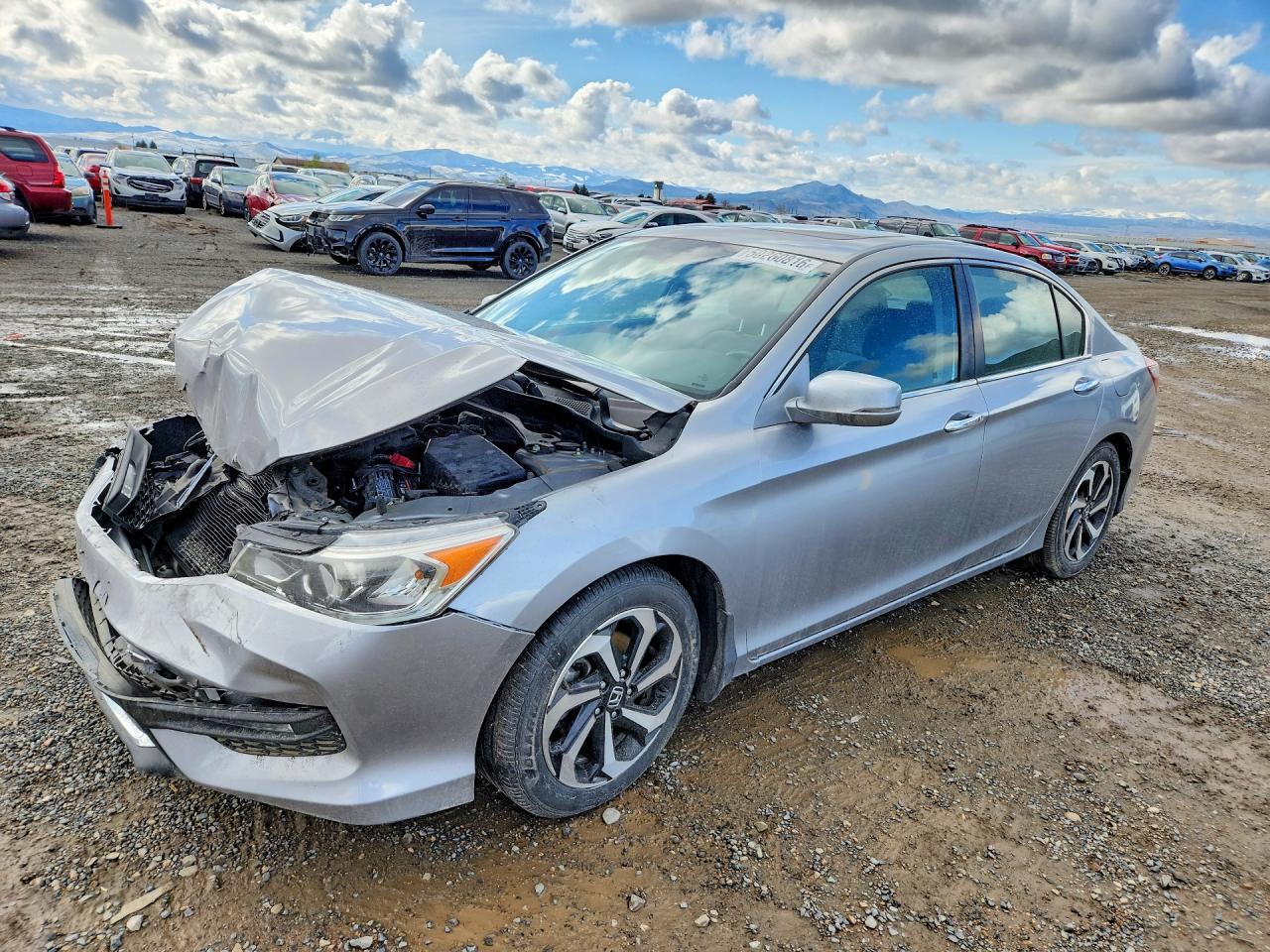 Salvage Honda Accord Image