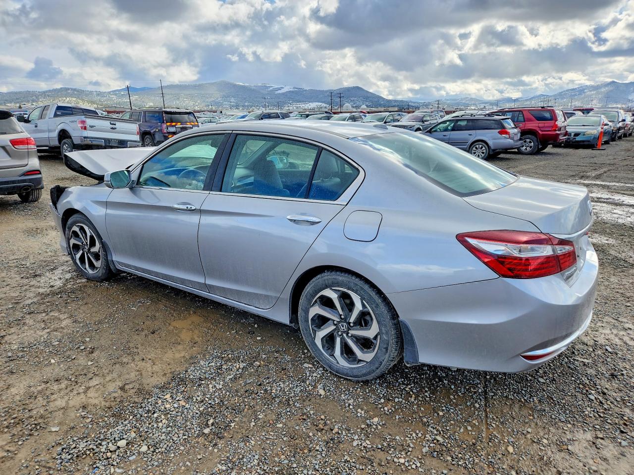 Honda Accord Exl