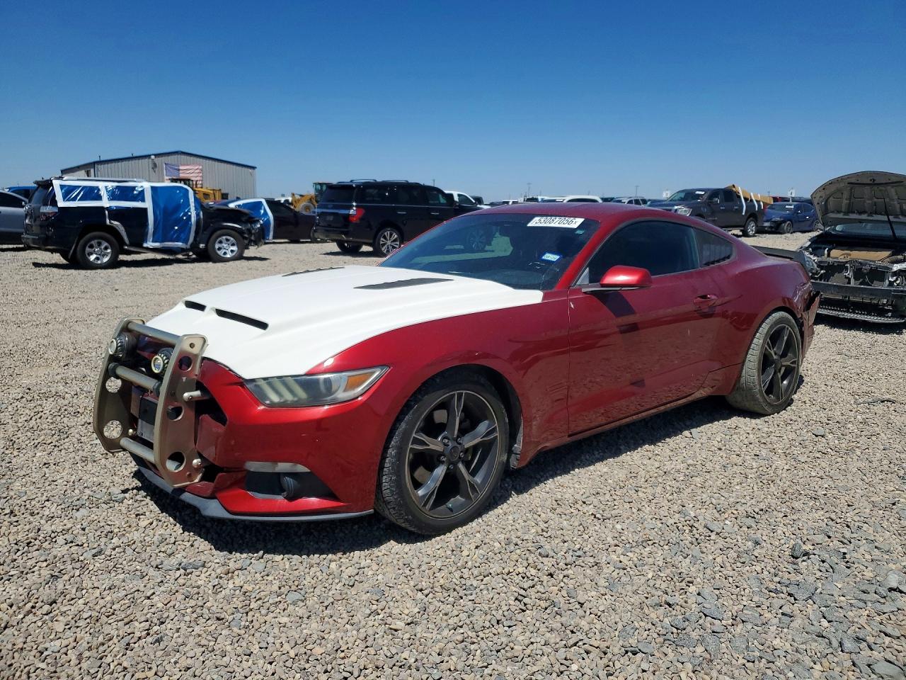 Salvage Ford Mustang Image