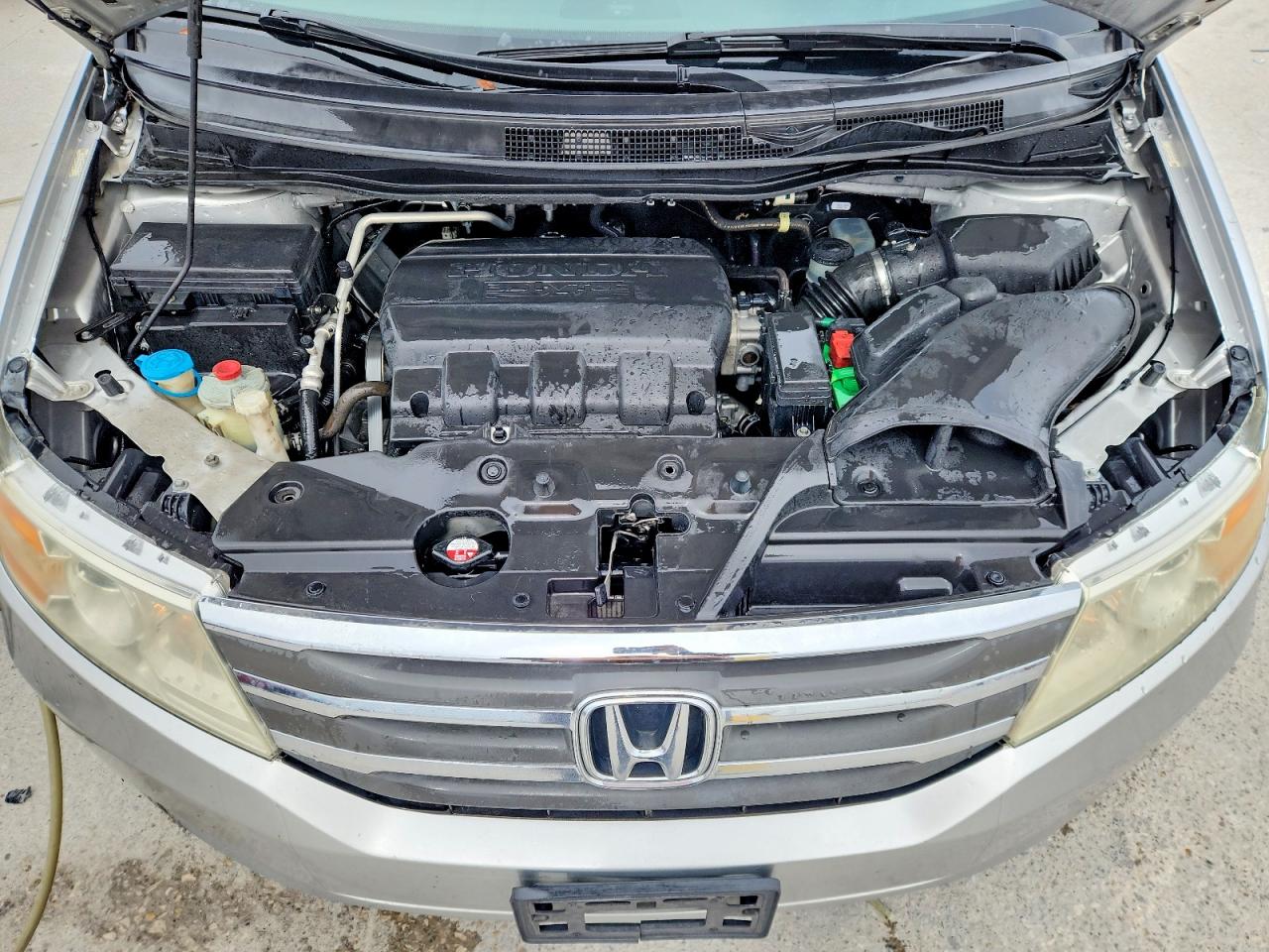 Honda Odyssey Exl