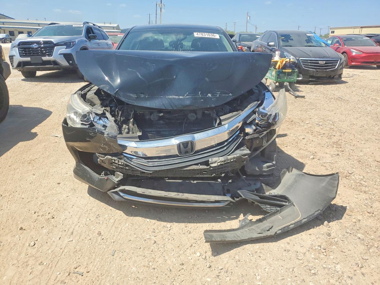Honda Accord Ex