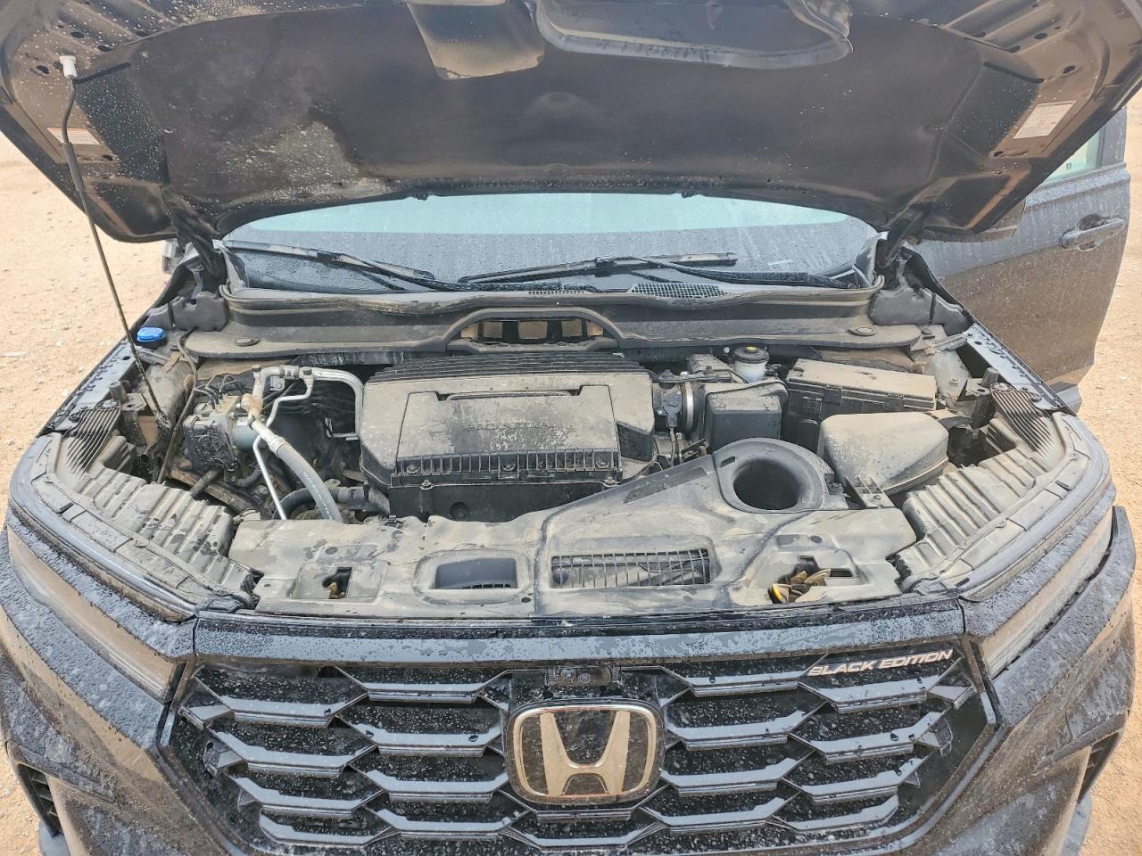 Honda Pilot Black