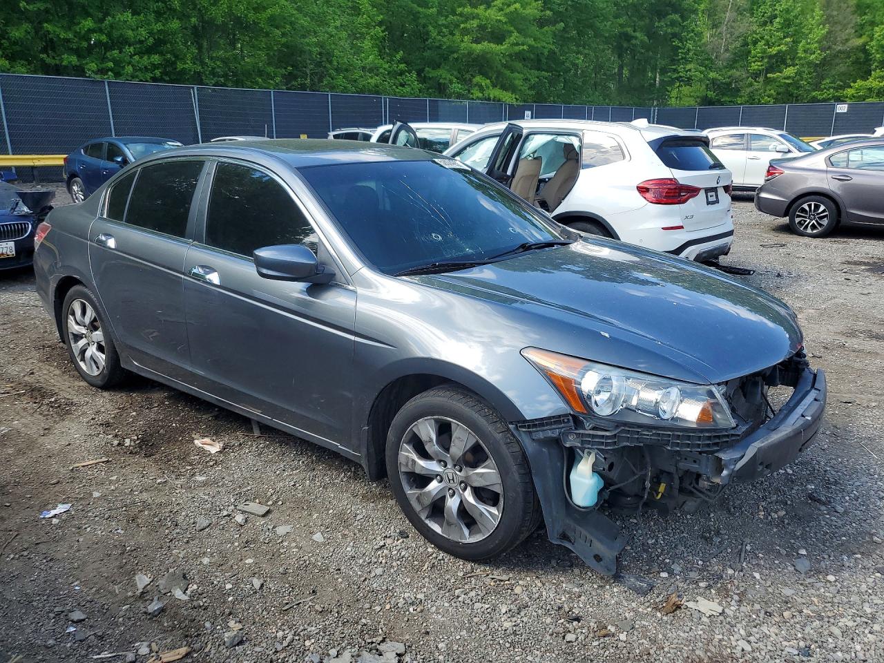 Honda Accord Exl