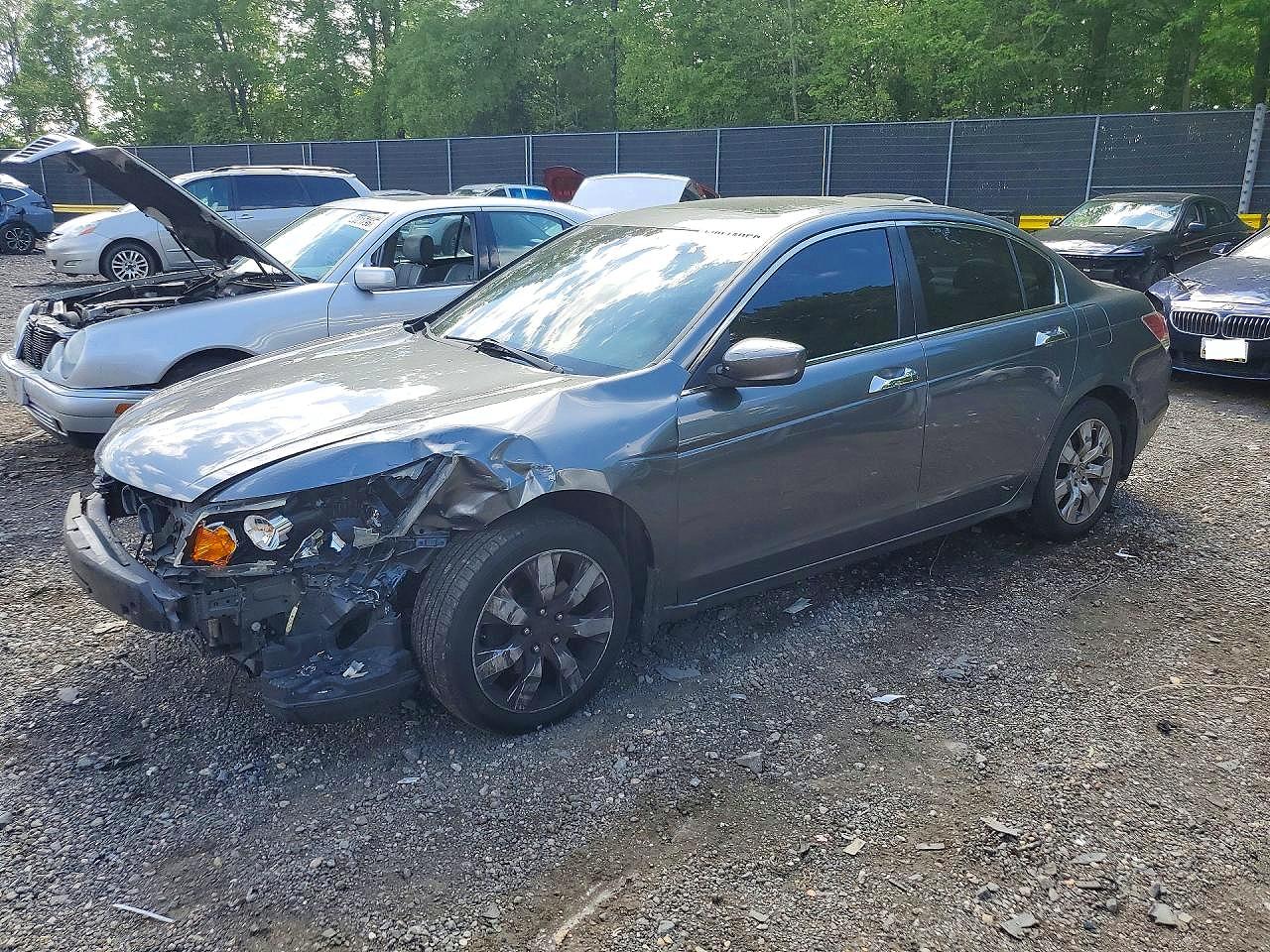 Salvage Honda Accord Image