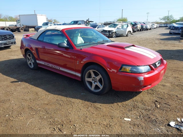 Salvage Ford Mustang Image
