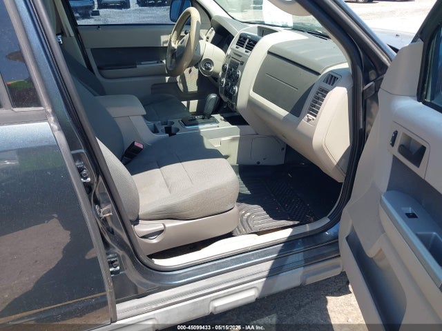 Ford Escape Xlt