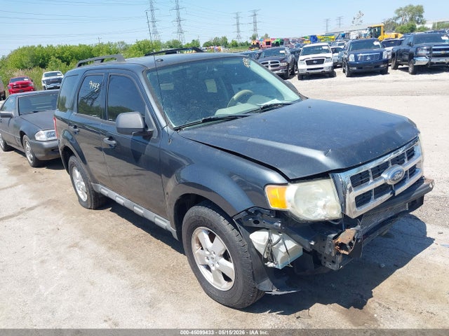 Salvage Ford Escape Image