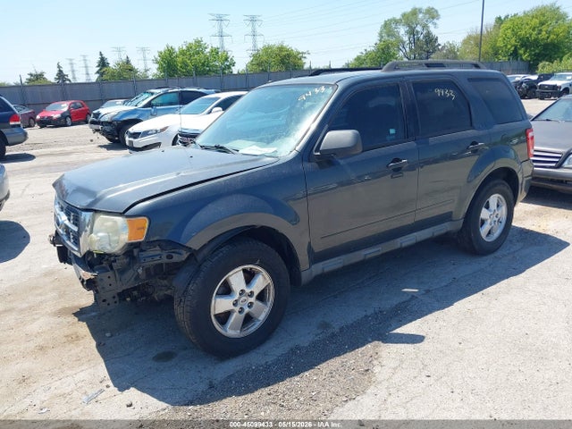 Ford Escape Xlt