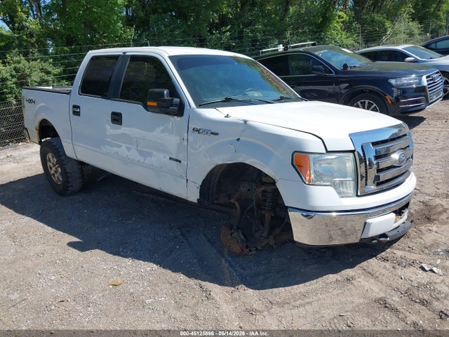 Salvage Ford F-150 Image