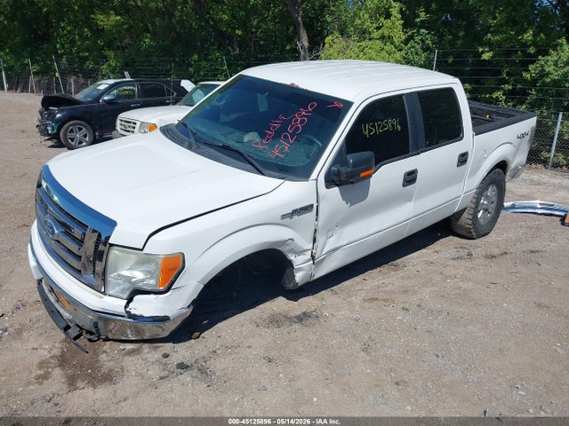 Ford F-150 Xl