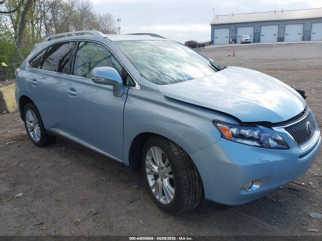 Salvage Lexus RX Image