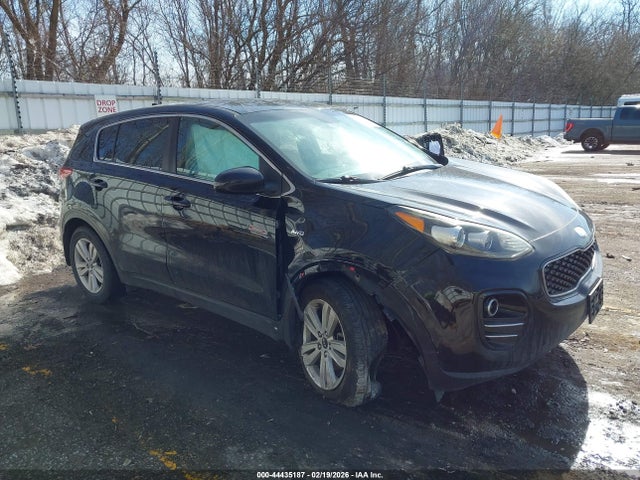 Salvage Kia Sportage Image
