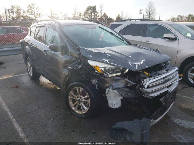 Salvage Ford Escape Image