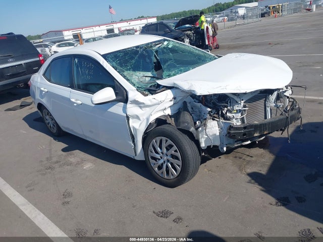 Salvage Toyota Corolla Image