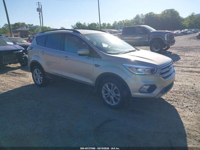 Salvage Ford Escape Image