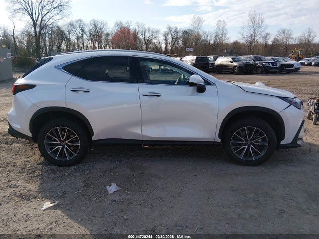Lexus NX Premium