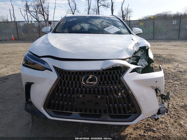 Lexus NX Premium