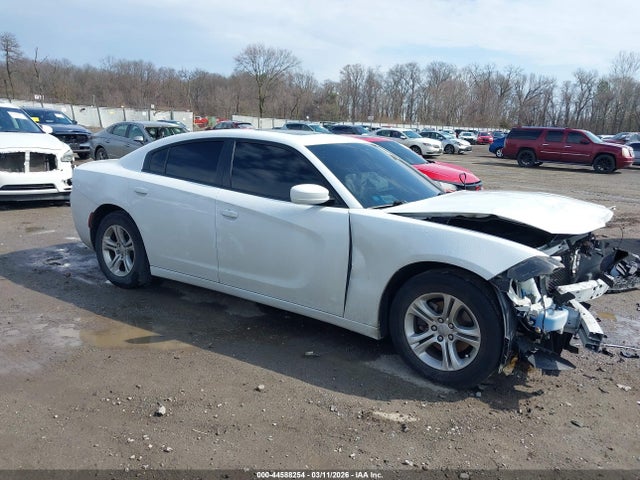 Salvage Dodge Charger Image