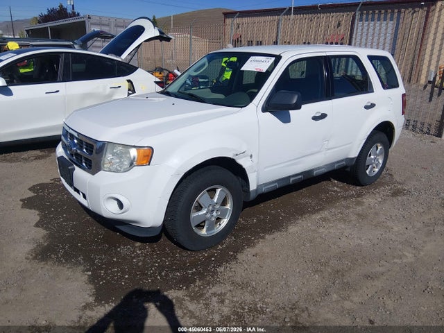 Ford Escape Xls