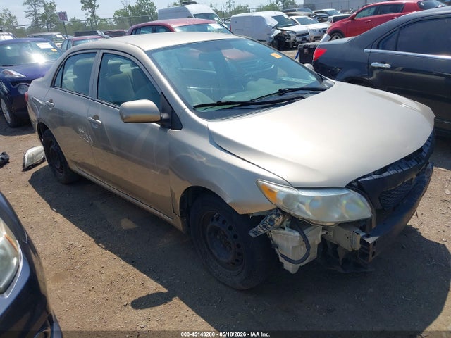 Salvage Toyota Corolla Image