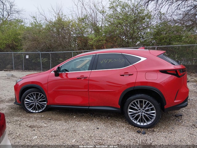 Lexus NX Premium