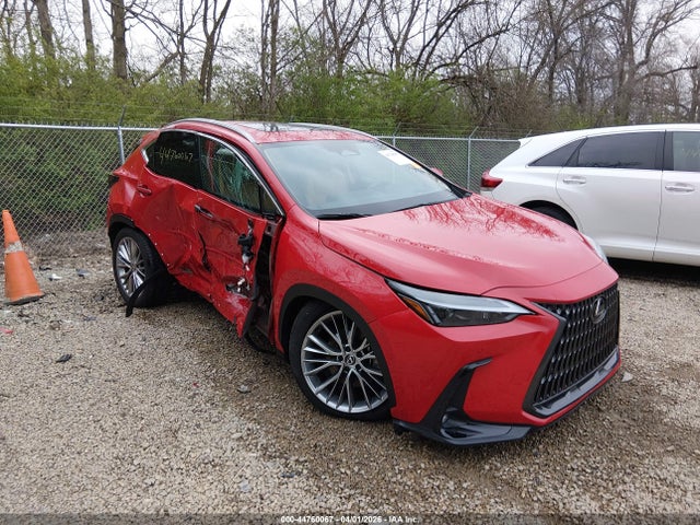 Salvage Lexus NX Image