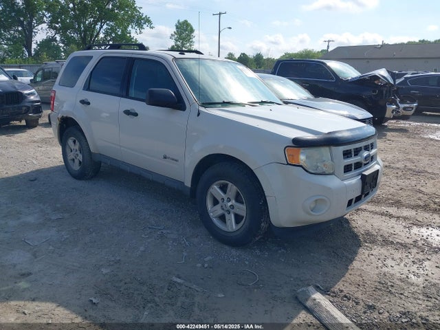 Salvage Ford Escape Image