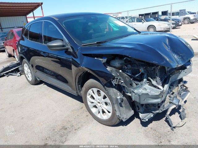 Salvage Ford Escape Image