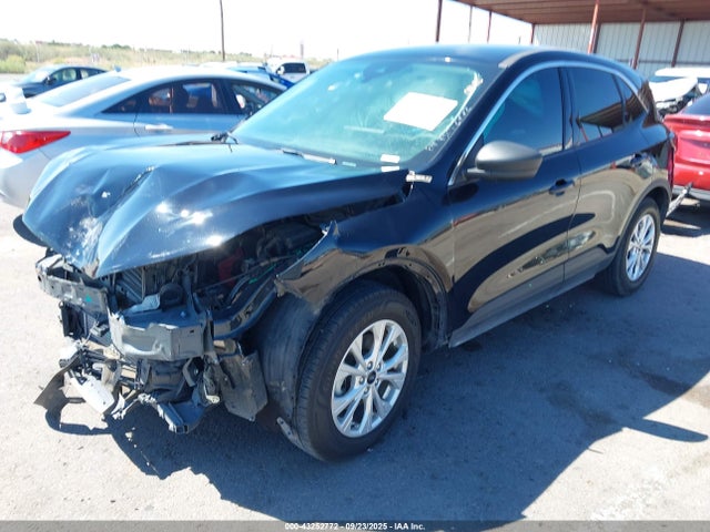 Ford Escape Active