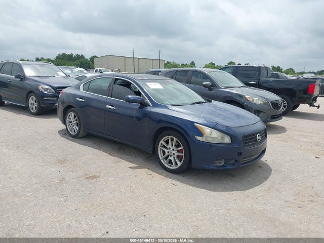Salvage Nissan Maxima Image