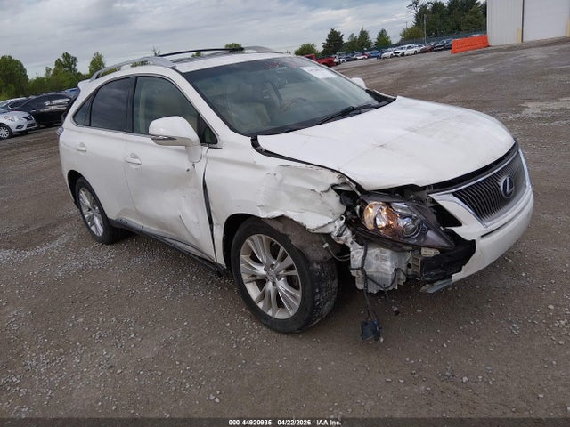 Salvage Lexus RX Image
