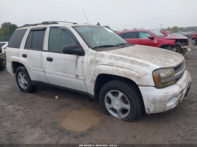 Salvage Chevrolet Trailblazer Image