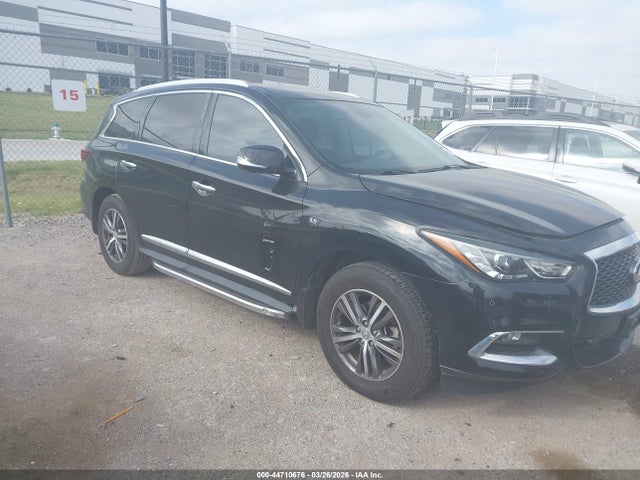 Salvage INFINITI Qx Image