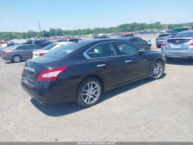 Nissan Maxima 3.5 Sv