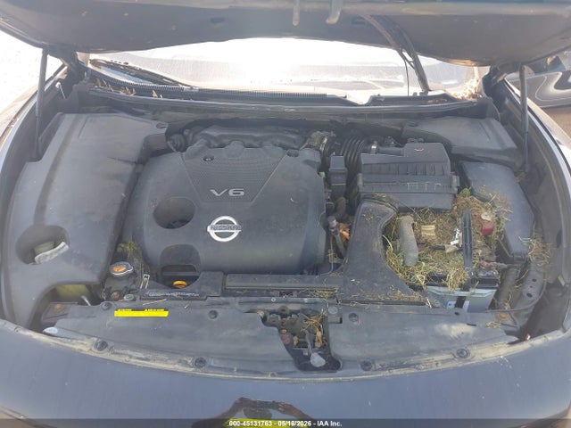 Nissan Maxima 3.5 Sv