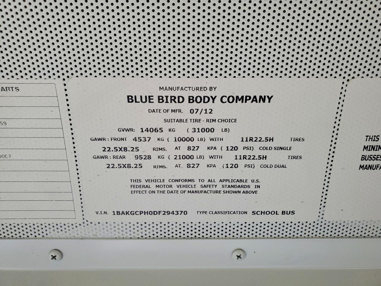 Bluebird Other
